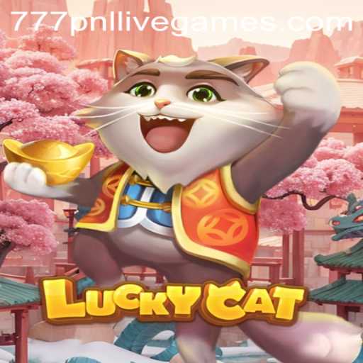 LuckyCat: Unraveling the Mystery of 777pnl